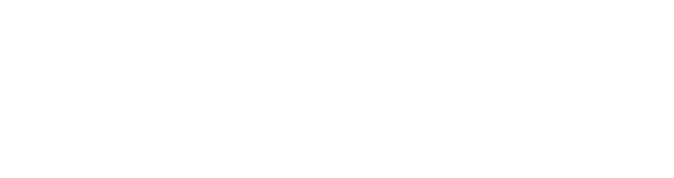 VidyaCopilot
